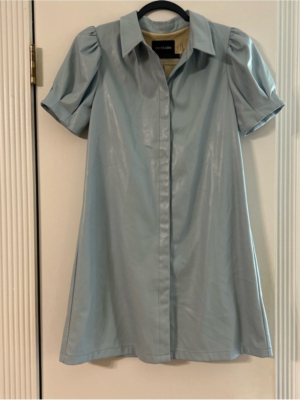 Dolce Cabo Faux Leather Mini Dress with Puff Sleeves/ small/ light blue